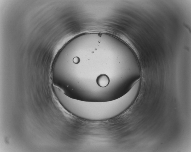 X0000102411485200808221900