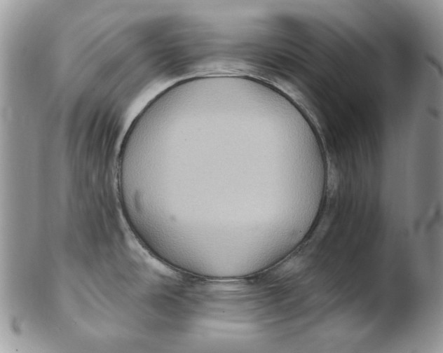 X0000102411486200808221900