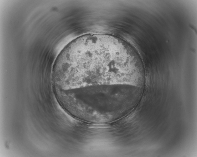 X0000102411487200808221900