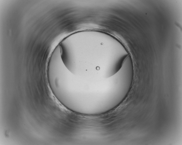 X0000102411488200808221900