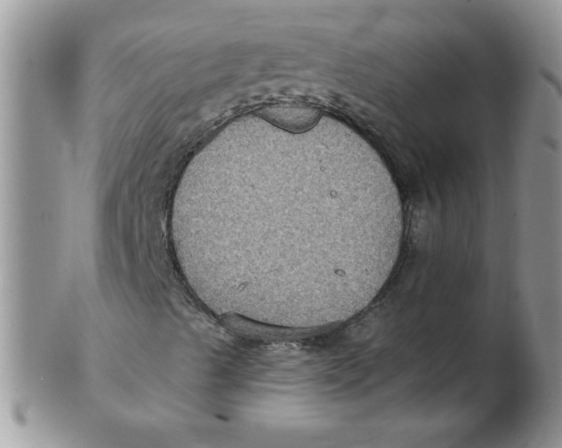 X0000102411489200808221859