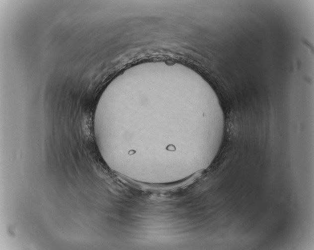 X0000102411490200808221859