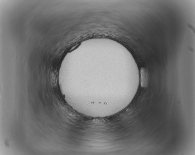 X0000102411491200808221859