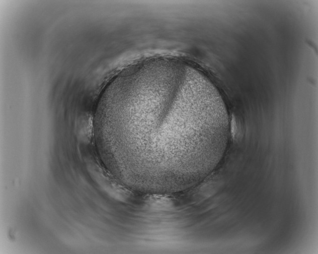 X0000102411492200808221859