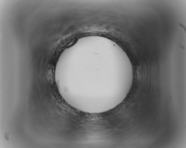 X0000102411493200808221859