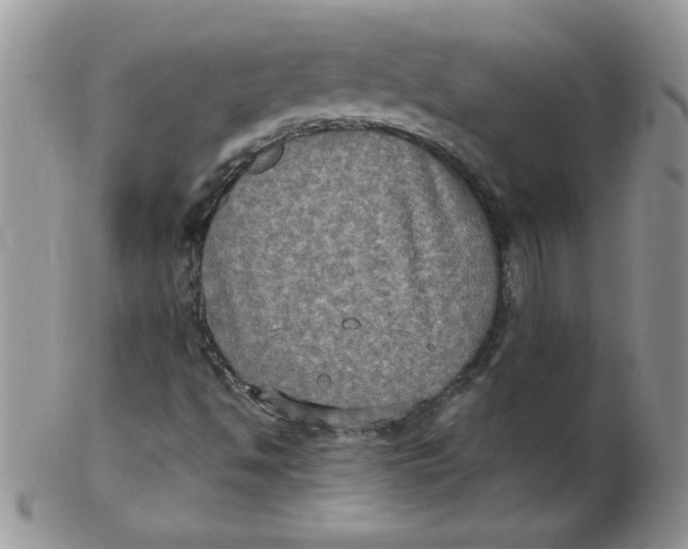 X0000102411494200808221859