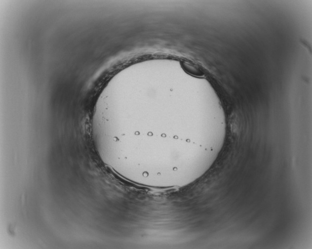 X0000102411495200808221859