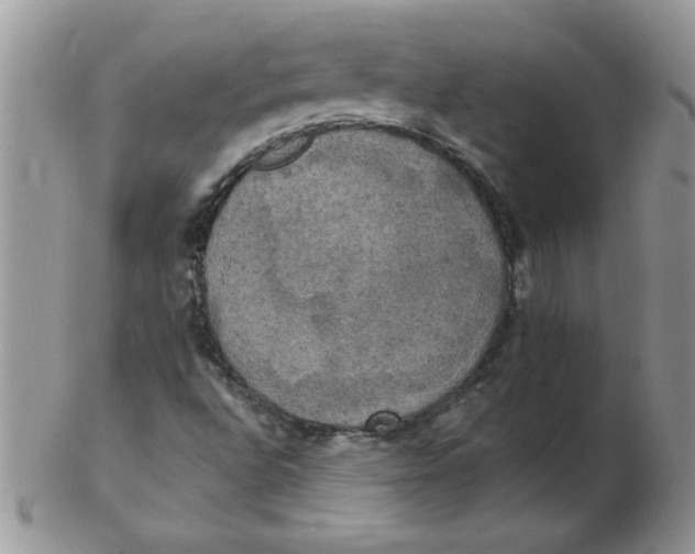 X0000102411496200808221859