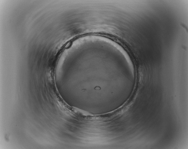 X0000102411497200808221859