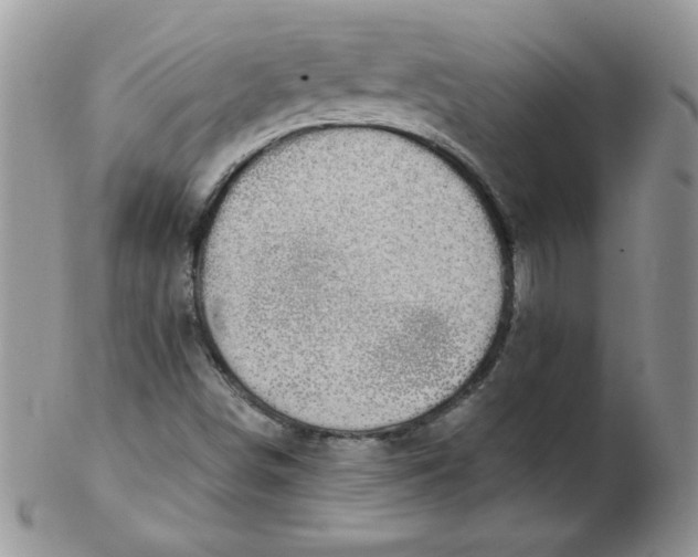 X0000102411498200808221859