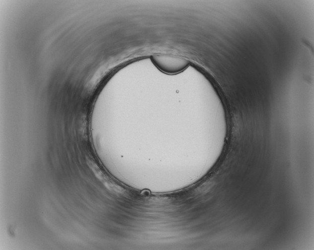 X0000102411499200808221859