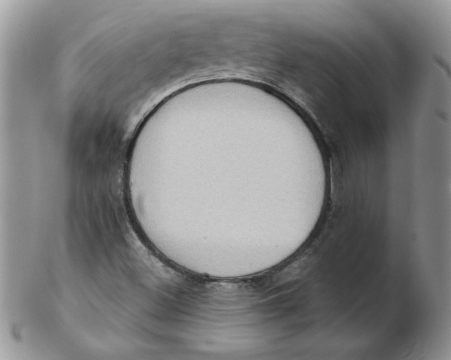 X0000102411500200808221859