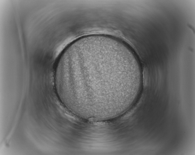 X0000102411501200808221859