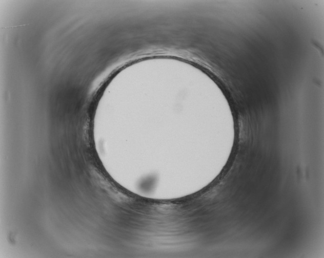 X0000102411502200808221859