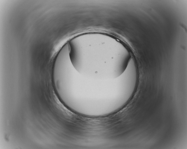 X0000102411504200808221859