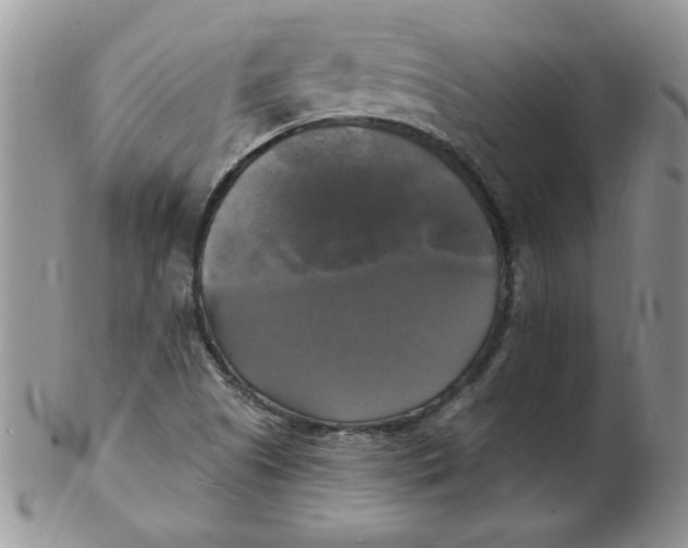 X0000102411505200808221859