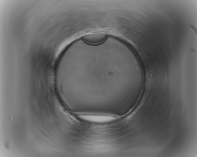 X0000102411506200808221859