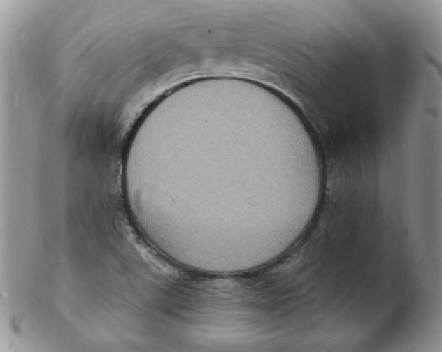 X0000102411507200808221859