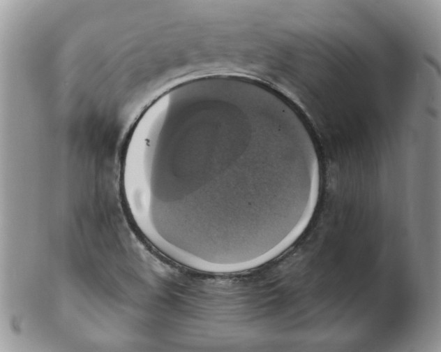 X0000102411508200808221859