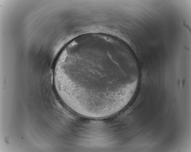 X0000102411509200808221859