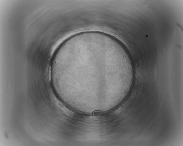 X0000102411510200808221859