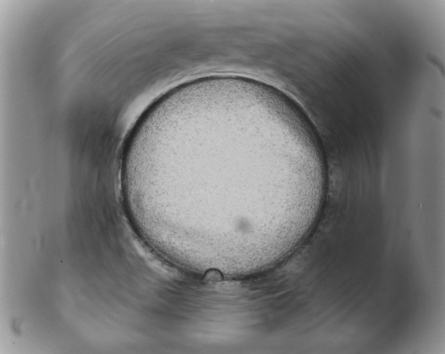 X0000102411511200808221859