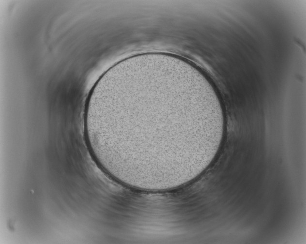 X0000102411512200808221859