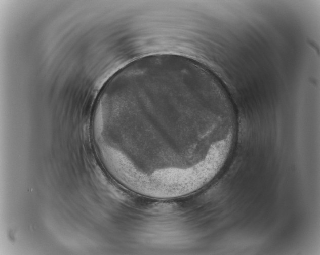 X0000102411513200808221859