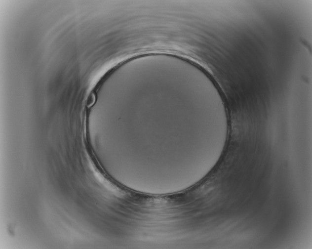 X0000102411515200808221859