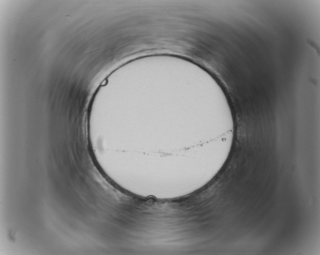 X0000102411516200808221859