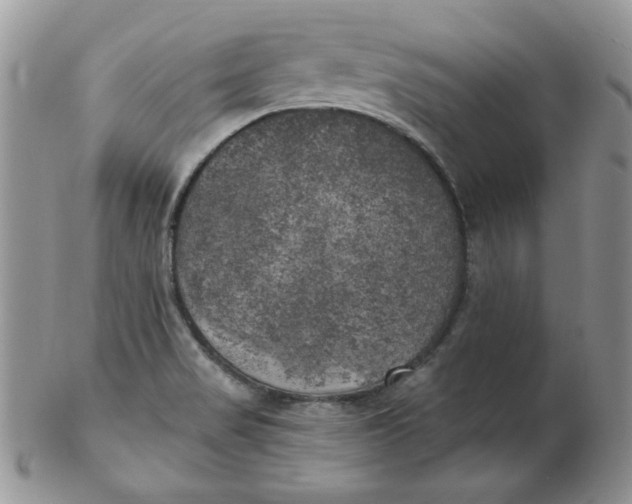 X0000102411517200808221859