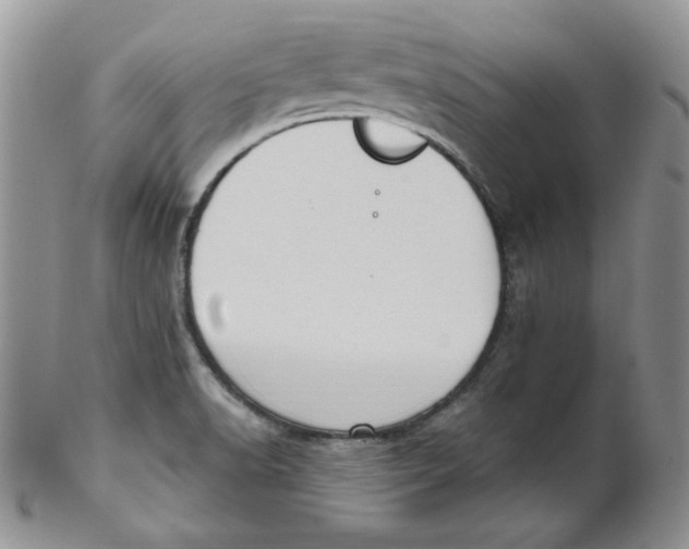 X0000102411518200808221859