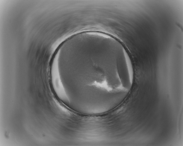 X0000102411519200808221859