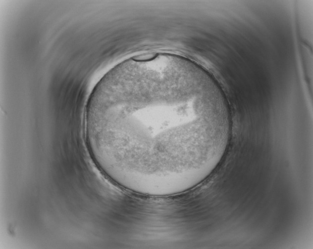 X0000102411520200808221859