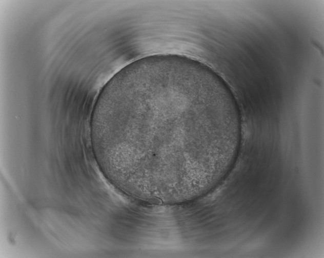 X0000102411521200808221859