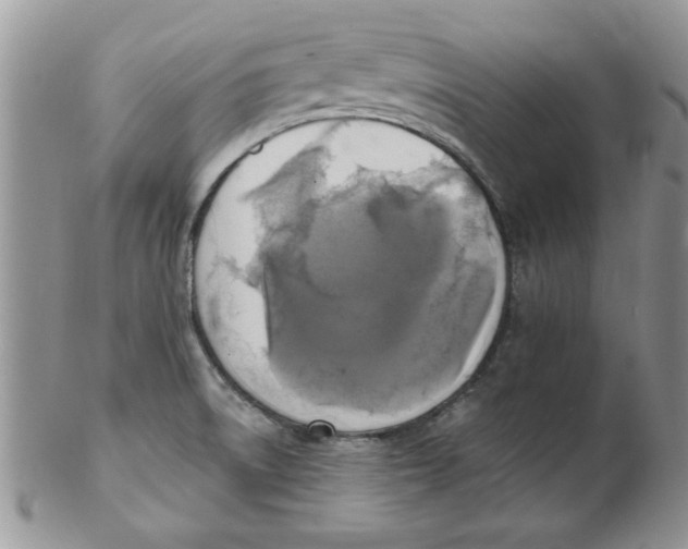 X0000102411522200808221859