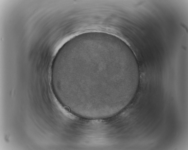 X0000102411523200808221859