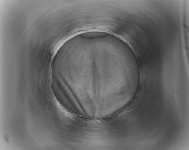 X0000102411524200808221900