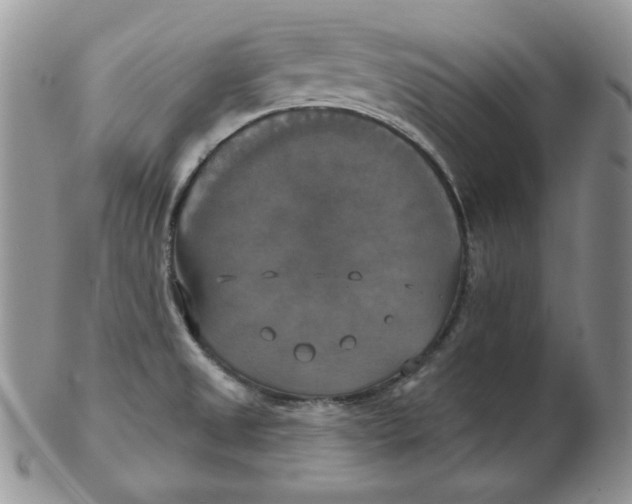 X0000102411525200808221900