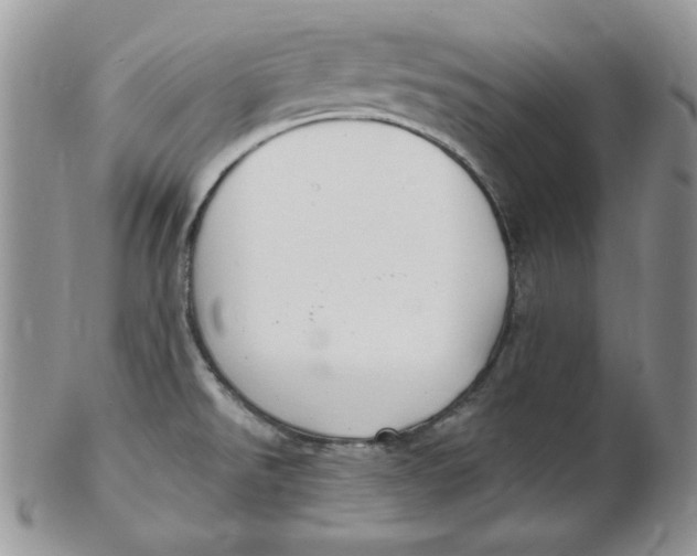 X0000102411526200808221900