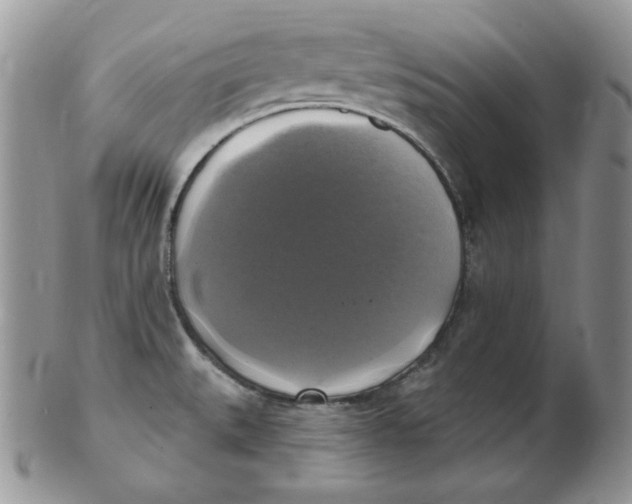 X0000102411527200808221900