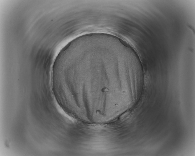 X0000102411528200808221900