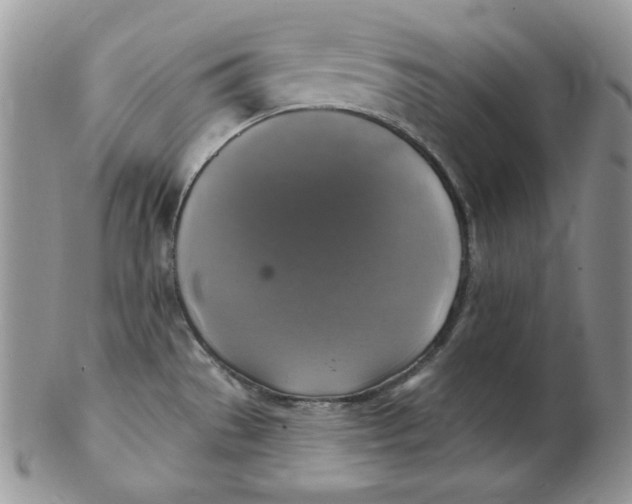 X0000102411529200808221900