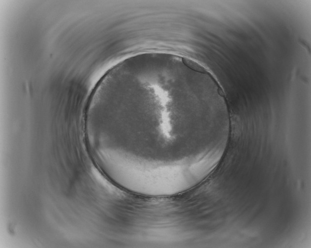 X0000102411531200808221900