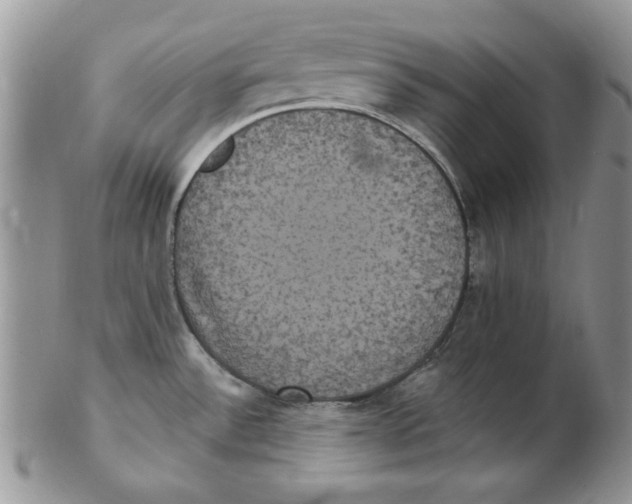 X0000102411532200808221900