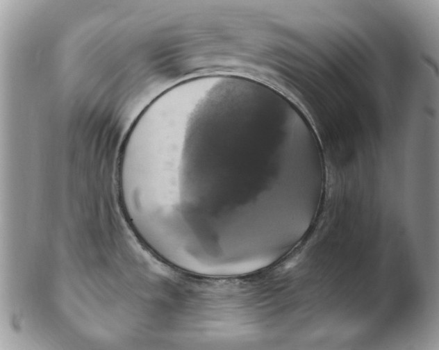 X0000102411533200808221900