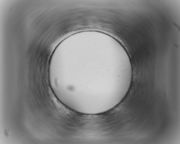 X0000102411534200808221900