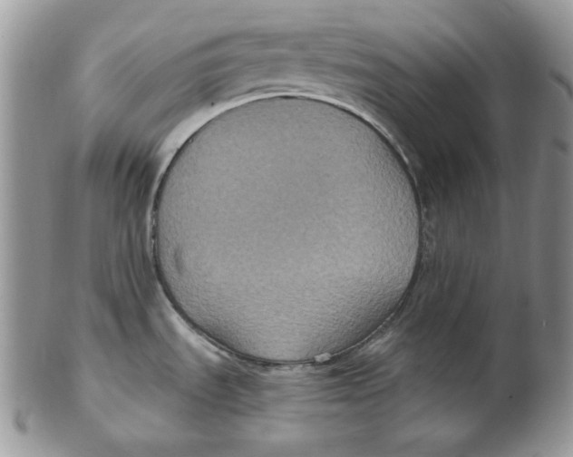 X0000102411535200808221900