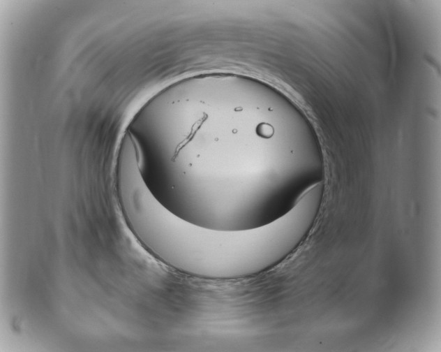 X0000102411536200808221900