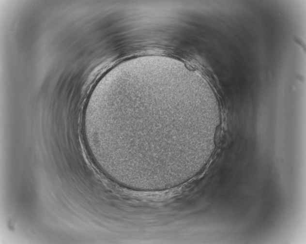 X0000102410001200808291518